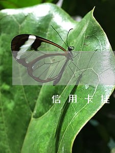 信用卡挂失了银行说我逾期了 信用卡挂失了银行说我逾期了