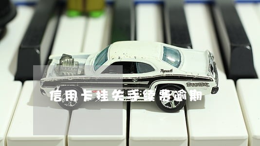 信用卡挂失手续费逾期