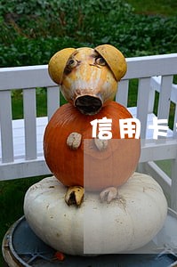 信用卡挂失费逾期怎么消除 信用卡挂失费逾期怎么消除