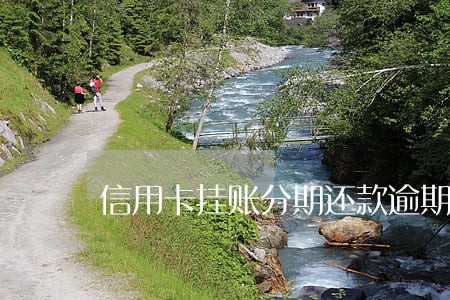 信用卡挂账分期还款逾期怎么办 信用卡挂账分期还款逾期怎么办