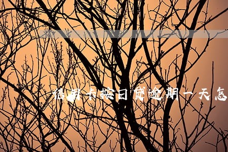 信用卡按日贷逾期一天怎么还款