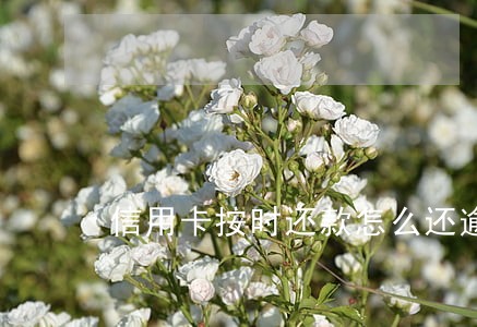 信用卡按时还款怎么还逾期 信用卡按时还款怎么还逾期