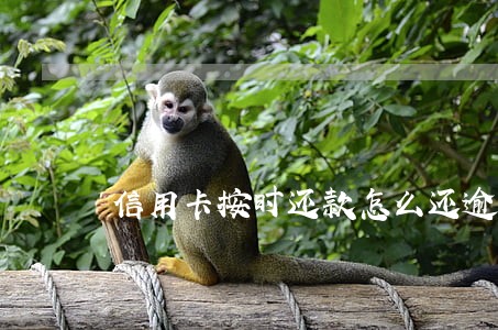 信用卡按时还款怎么还逾期了 信用卡按时还款怎么还逾期了