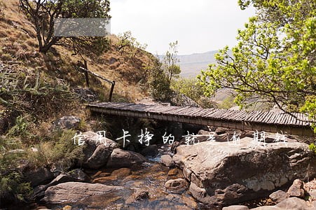 信用卡挣的就是逾期钱 信用卡挣的就是逾期钱