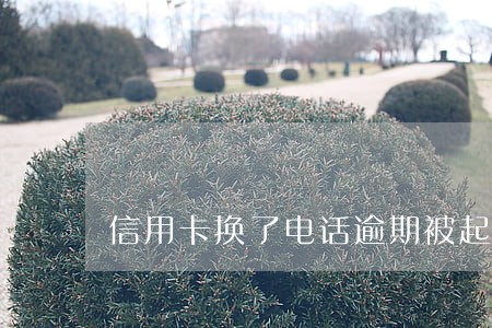 信用卡换了电话逾期被起诉了 信用卡换了电话逾期被起诉了