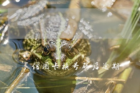 信用卡换号码后逾期 信用卡换号码后逾期