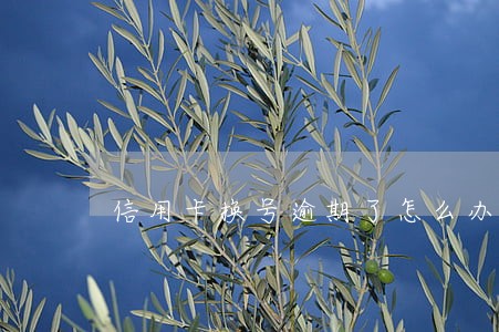 信用卡换号逾期了怎么办