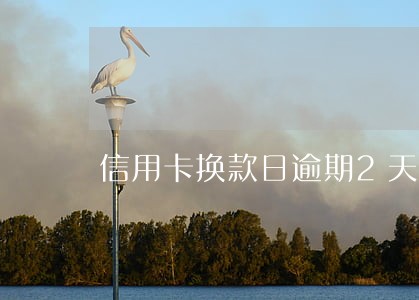 信用卡换款日逾期2天 信用卡换款日逾期2天