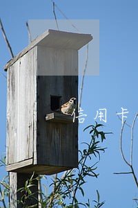 信用卡掉了逾期4年