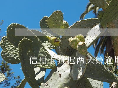 信用卡推迟两天算逾期吗