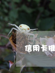 信用卡推迟几天还算不算逾期