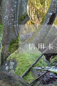 信用卡推迟多少天算逾期 信用卡推迟多少天算逾期