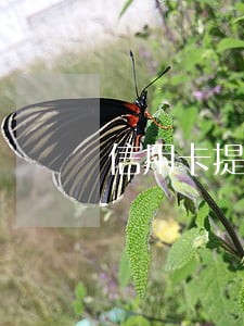 信用卡提是已逾期怎么办