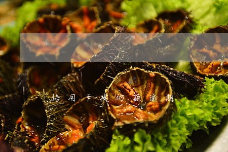 信用卡提的额逾期 信用卡提的额逾期