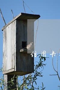 信用卡提示严重逾期 信用卡提示严重逾期