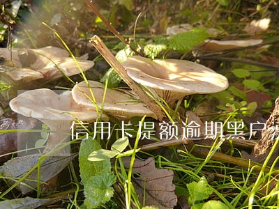 信用卡提额逾期黑户漂白-王宇 信用卡提额逾期黑户漂白-王宇