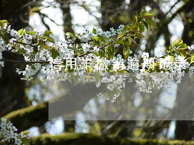 信用卡撤销逾期记录 信用卡撤销逾期记录