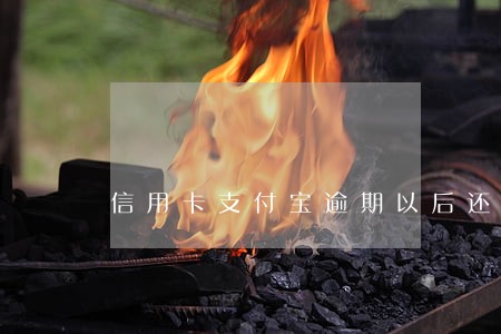 信用卡支付宝逾期以后还那个 信用卡支付宝逾期以后还那个
