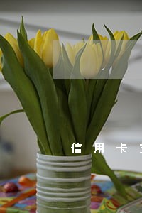信用卡支付宝都逾期 信用卡支付宝都逾期