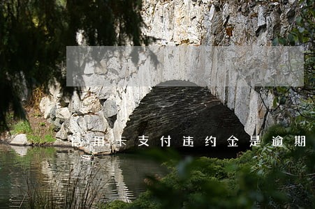 信用卡支付违约金是逾期了吗 信用卡支付违约金是逾期了吗