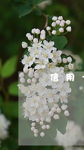 信用卡收不到账单导致逾期 信用卡收不到账单导致逾期