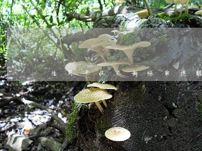 信用卡收不到账单提醒逾期了 信用卡收不到账单提醒逾期了