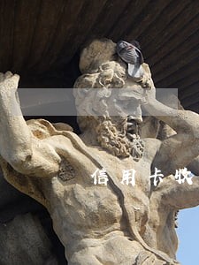 信用卡收入缩减后逾期 信用卡收入缩减后逾期