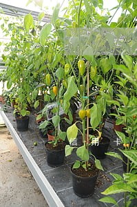 信用卡收年费逾期 信用卡收年费逾期