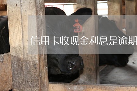 信用卡收现金利息是逾期了吗 信用卡收现金利息是逾期了吗