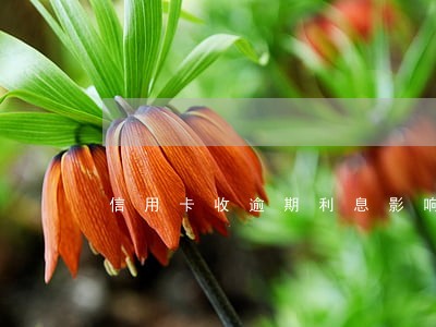 信用卡收逾期利息影响征信 信用卡收逾期利息影响征信