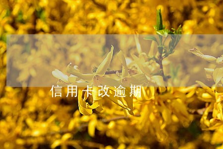 信用卡改逾期