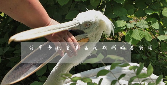 信用卡数量多无逾期影响房贷吗 信用卡数量多无逾期影响房贷吗