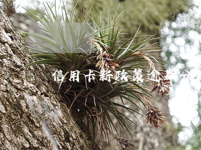信用卡新政策逾期分期还款 信用卡新政策逾期分期还款