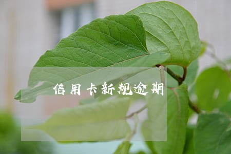 信用卡新规逾期