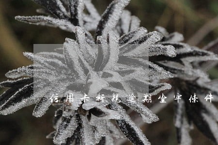 信用卡新规逾期坐牢条件 信用卡新规逾期坐牢条件