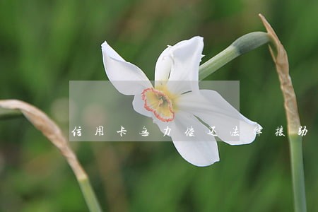 信用卡无力偿还法律援助律师 信用卡无力偿还法律援助律师