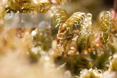 信用卡无当前逾期是什么意思 信用卡无当前逾期是什么意思
