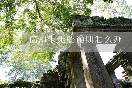 信用卡无心逾期怎么办 信用卡无心逾期怎么办