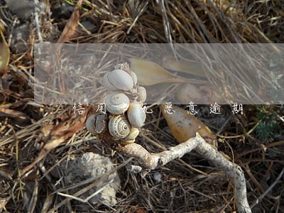 信用卡无恶意逾期 信用卡无恶意逾期