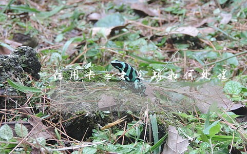信用卡无意逾期如何处理 信用卡无意逾期如何处理