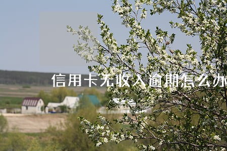 信用卡无收入逾期怎么办 信用卡无收入逾期怎么办