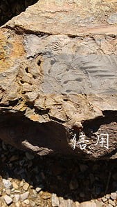 信用卡无缘无故逾期1次 信用卡无缘无故逾期1次