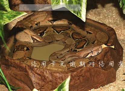 信用卡无逾期对信用有影响么 信用卡无逾期对信用有影响么