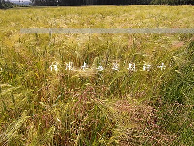 信用卡无逾期封卡 信用卡无逾期封卡