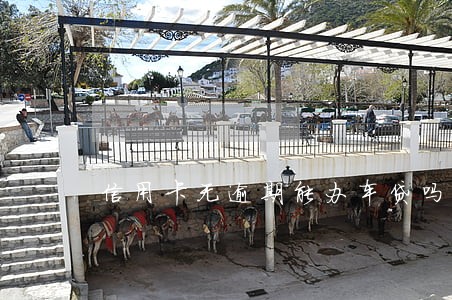 信用卡无逾期能办车贷吗 信用卡无逾期能办车贷吗