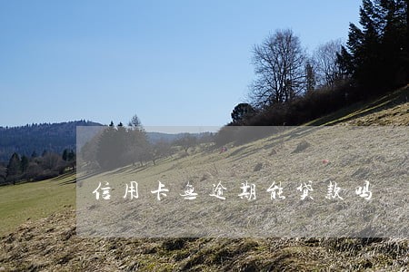 信用卡无逾期能贷款吗 信用卡无逾期能贷款吗