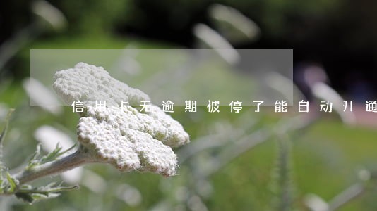 信用卡无逾期被停了能自动开通吗 信用卡无逾期被停了能自动开通吗