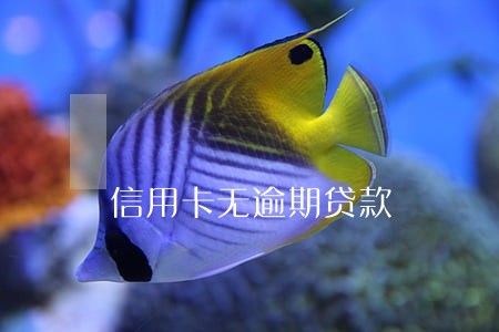 信用卡无逾期贷款 信用卡无逾期贷款