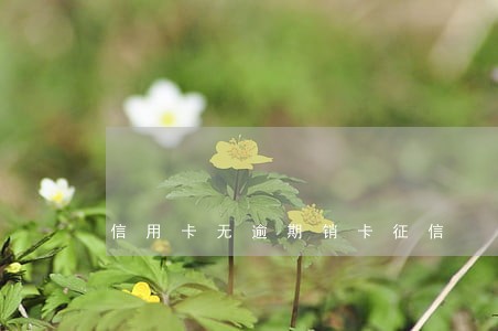 信用卡无逾期销卡征信