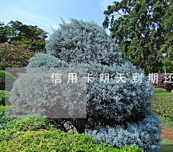 信用卡明天到期还一半算逾期吗 信用卡明天到期还一半算逾期吗